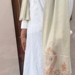 WhatsApp Image 2026-09-07 at 4.22.44 PM Paldar Sozni Cashmere Stole — Natural White with dusty peach