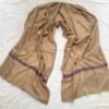 WhatsApp Image 2026-09-10 at 6.11.32 AM Botidar Sozni Pashmina Stole — Camel warm beige with multicolor embroidery