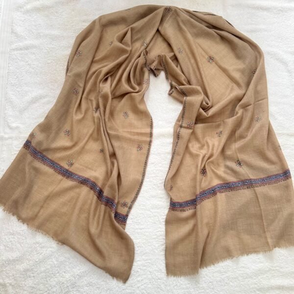 WhatsApp Image 2026-09-10 at 6.11.32 AM Botidar Sozni Pashmina Stole — Camel warm beige with multicolor embroidery